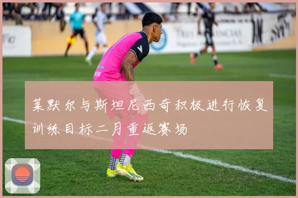 莱默尔与斯坦尼西奇积极进行恢复训练目标二月重返赛场